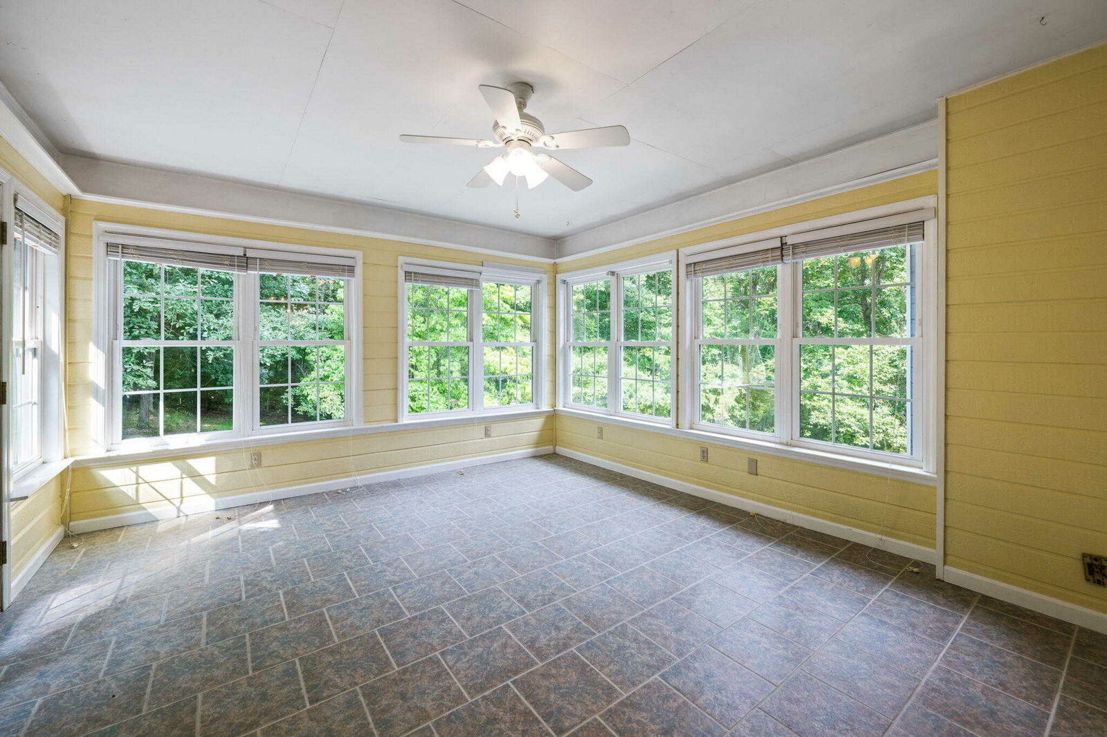 555 Blue Bird Lane - Photo 4