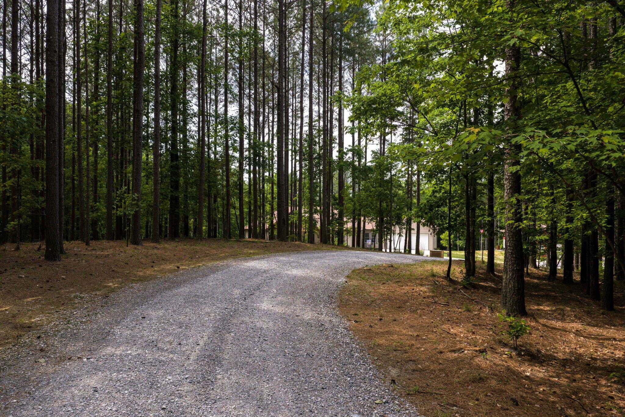655 Thunder Ridge Drive - Photo 2